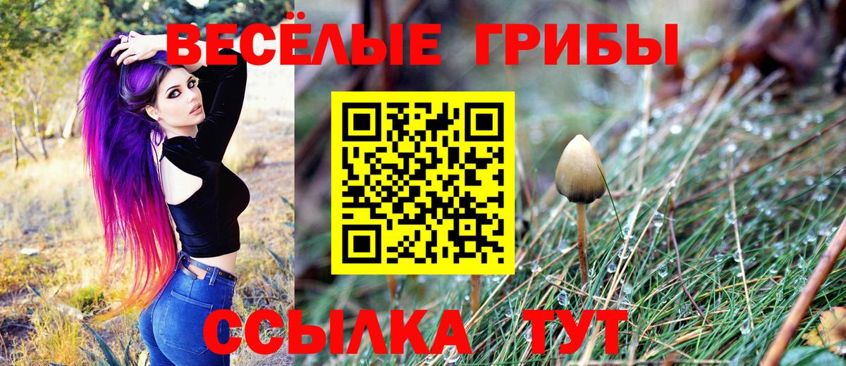 Галлюциногенные грибы мицелий Славгород