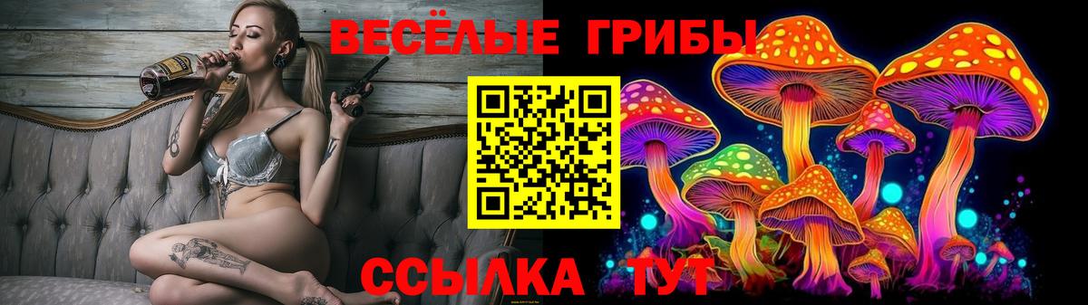 Псилоцибиновые грибы Cubensis  Вход с VPN  Славгород 